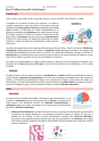 Miniatura del documento Anatomia-T8.pdf