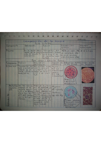 Miniatura del documento Cuadro-resumen.pdf