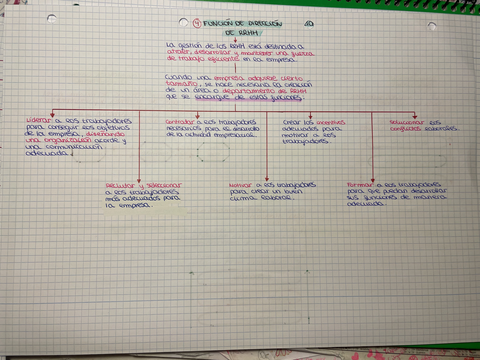 Miniatura del documento 297B66AF-EDAA-40BD-98F0-9D7D28838DEB.jpg