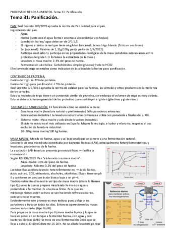 Miniatura del documento Tema-31-Panificacion.pdf
