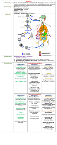 Miniatura del documento CUADRO-AMEBIASIS.pdf