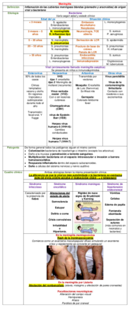 Miniatura del documento CUADRO-MENINGITIS-VIRAL-Y-BACTERIANA.pdf