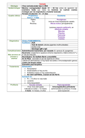 Miniatura del documento CUADRO-VARICELA.pdf
