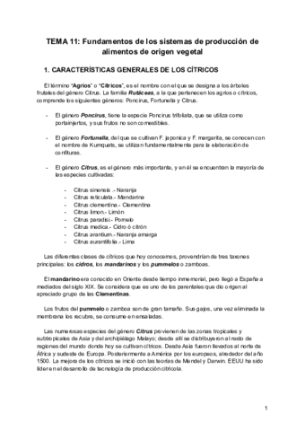 Miniatura del documento Tema-11-PMP.pdf