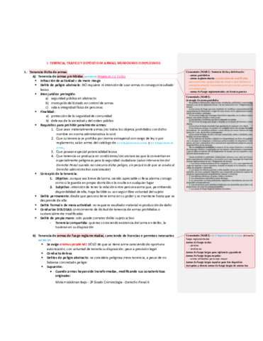 Miniatura del documento Tema-18-Delitos-contra-el-Orden-Publico-II.pdf