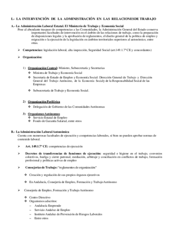 Miniatura del documento Tema-5-tutela-administrativa-y-judicial-del-ordenamiento-social-fin.pdf