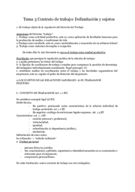 Miniatura del documento Tema3TrabajoI.pdf