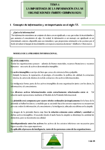 Miniatura del documento TEMA-1.pdf
