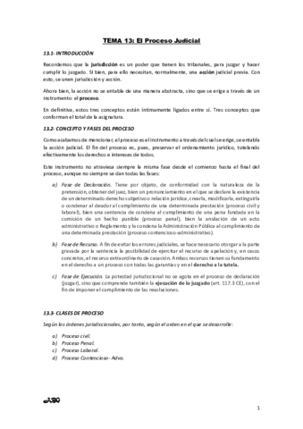 Miniatura del documento TEMA-13-IDP.pdf