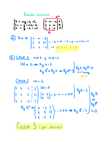 Miniatura del documento Matrices EVAU Matemáticas II REVISADO