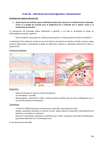 Miniatura del documento T.pdf