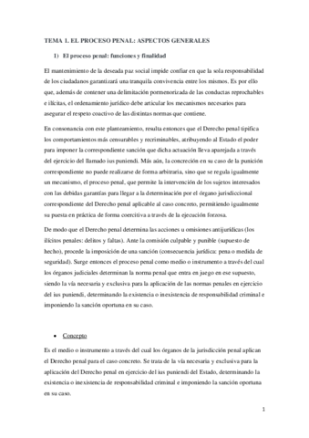 Miniatura del documento TEMA-1.pdf