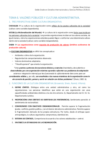 Miniatura del documento APUNTES-FINALES-GAP-104-108.pdf