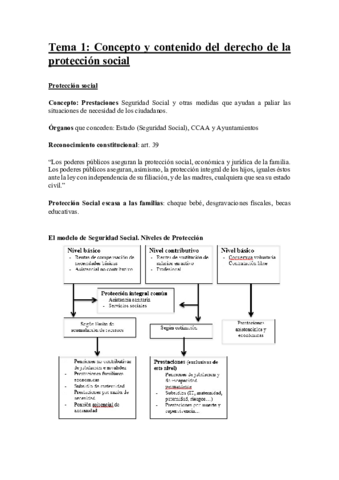 Miniatura del documento Tema-1.pdf