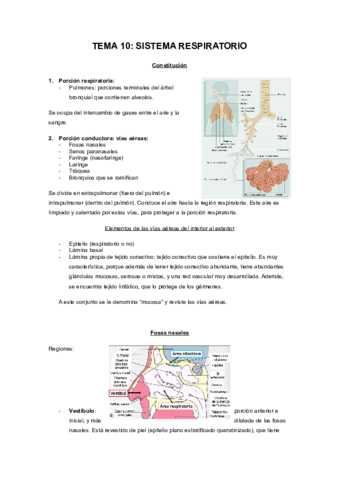 Miniatura del documento SISTEMA_RESPIRATORIO.pdf