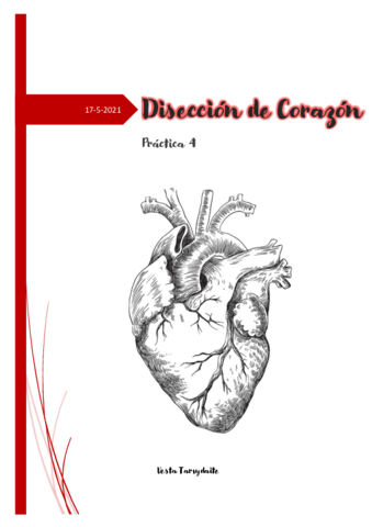 Miniatura del documento PRACTICA-4-FPG.pdf