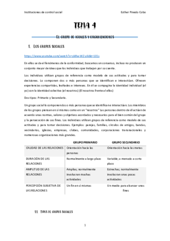 Miniatura del documento TEMA-4-El-grupo-de-iguales-y-organizaciones.pdf