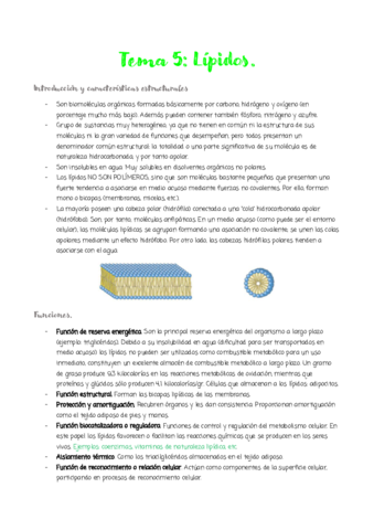 Miniatura del documento tema-5.pdf