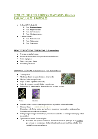 Miniatura del documento TEMA-22.pdf