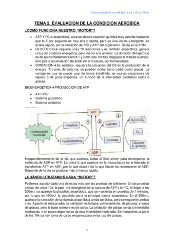 Miniatura del documento TEMA-2.pdf