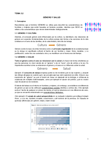 Miniatura del documento Tema 3.2 Género y salud