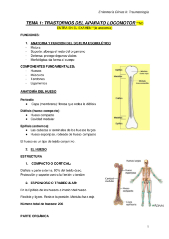 Miniatura del documento Trauma-.pdf