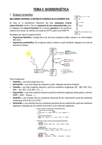 Miniatura del documento TEMA-5.pdf