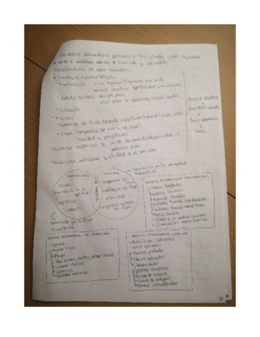 Miniatura del documento Tema-3.pdf