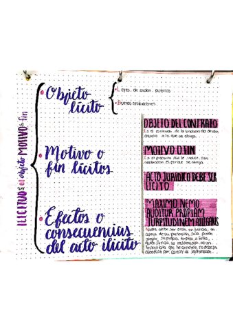 Miniatura del documento ilicitud-en-el-objeto-motivo-o-fin.pdf