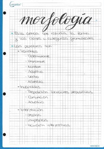 Miniatura del documento morfologia.pdf