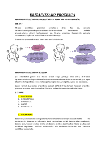 Miniatura del documento ERIZAINTZAKO-PROZESUA.pdf
