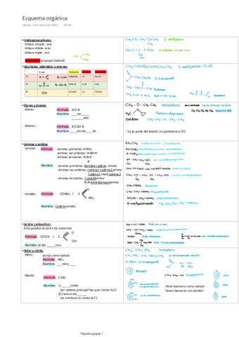 Miniatura del documento Esquema-organica.pdf