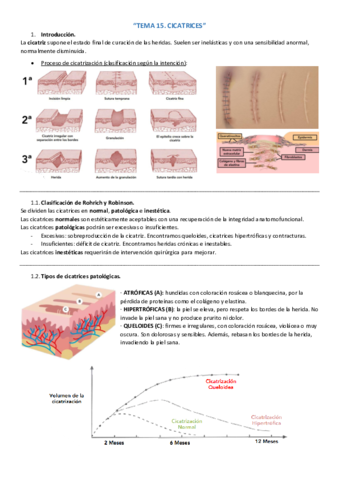 Miniatura del documento Tema-15.pdf