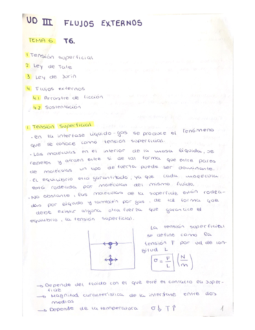 Miniatura del documento TEMA-6-FLUJOS-EXTERNOS.pdf