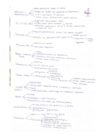 Miniatura del documento Biologia.pdf