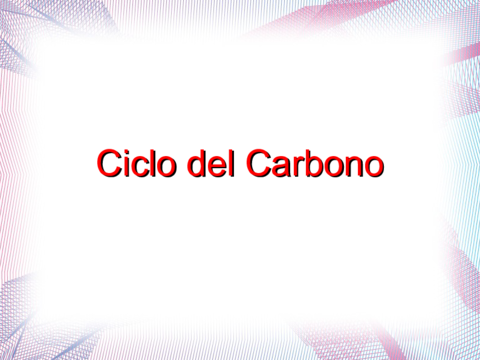 Miniatura del documento CicloC.pdf