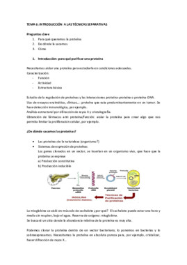 Miniatura del documento T6 tecnicas separativas.pdf