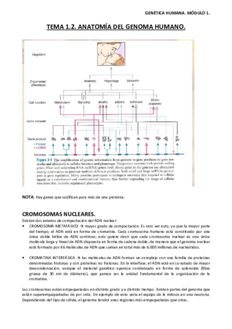 Miniatura del documento Tema-1.pdf