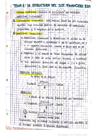 Miniatura del documento t1-apuntes-mios.pdf