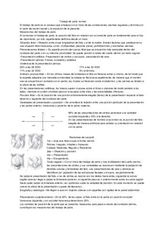 Miniatura del documento Trabajo-de-parto-normal.pdf