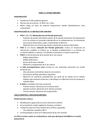 Miniatura del documento TEMA-17.pdf