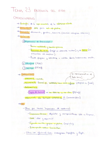 Miniatura del documento T23-Patologia-del-oido.pdf