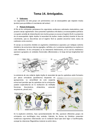 Miniatura del documento Tema-14.pdf