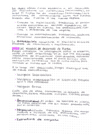 Miniatura del documento Adobe-Scan-07-ago-202114.jpg