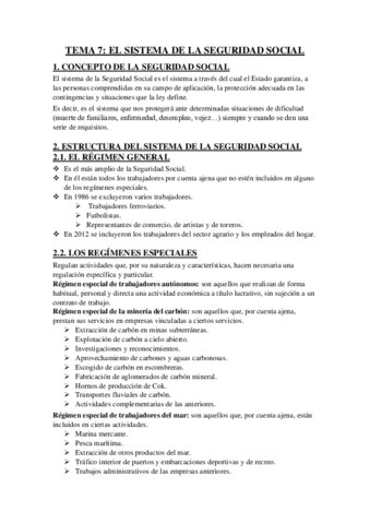 Miniatura del documento TEMA 7 - EL SISTEMA DE LA SEGURIDAD SOCIAL.pdf