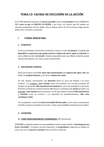 Miniatura del documento TEMA-13-DP.pdf