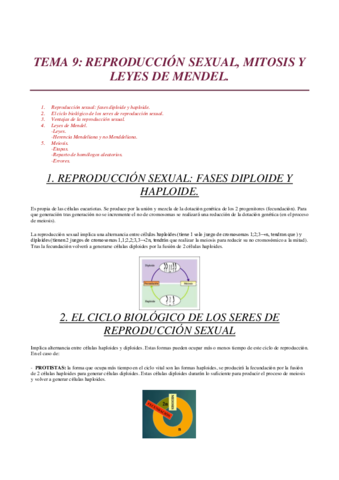 Miniatura del documento TEMA-9.pdf
