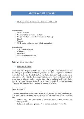 Miniatura del documento 0microbiologia_completo.pdf