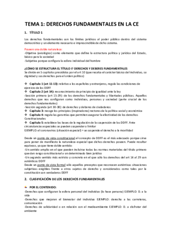 Miniatura del documento Temario-completo.pdf