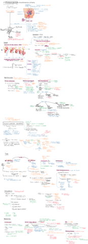 Miniatura del documento 17.pdf